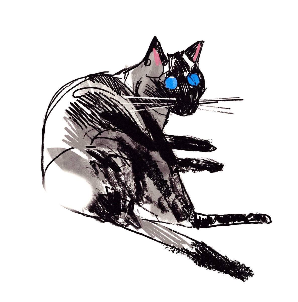 One for my cat before zzzzzz