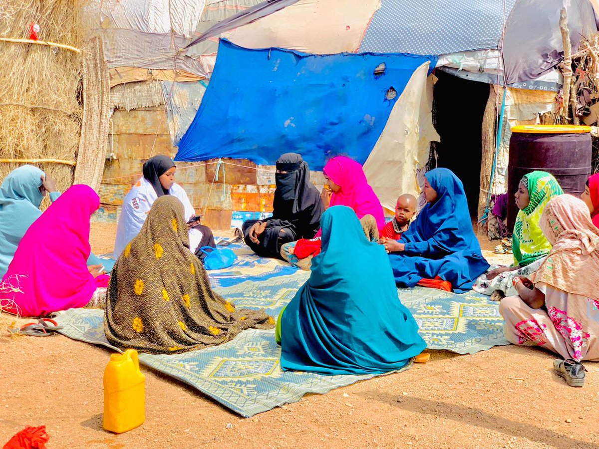 YPeer's tweet photo. Y-PEER team peer educators  In Erigavo and Ainaba educated 20 young people on preventing FGM/C. Knowledge is power in the fight against harmful traditions! #EndHarmfulPractices #YPEER #CommunityEducation #Somaliland https://t.co/pYxGZOAwsJ