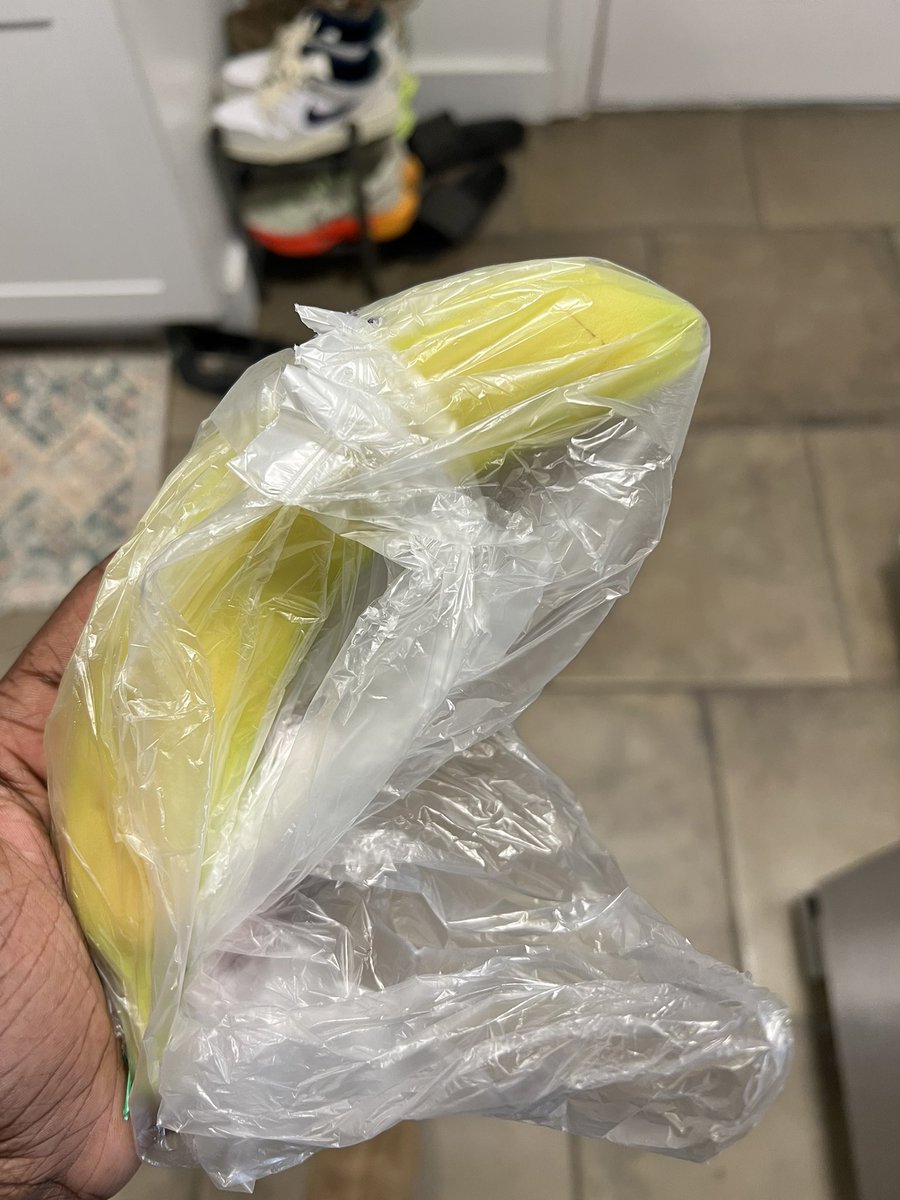 Chocolate Dinosaur | Directed by Tristan T.A. Hill tweet media