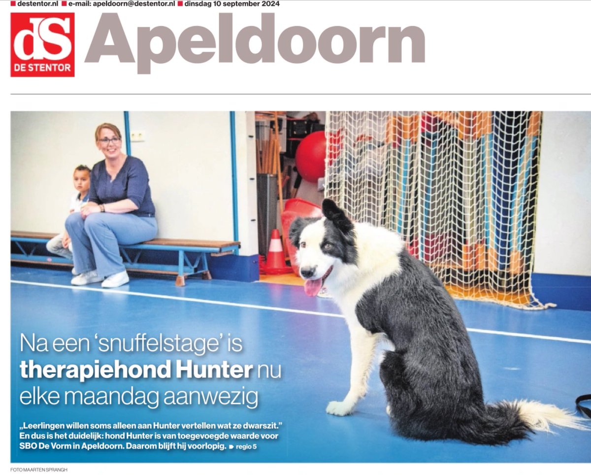 Westrik's tweet photo. #vertrouwenshond #Hunter is een blijvertje op #sbodeVorm https://t.co/urw683w59N