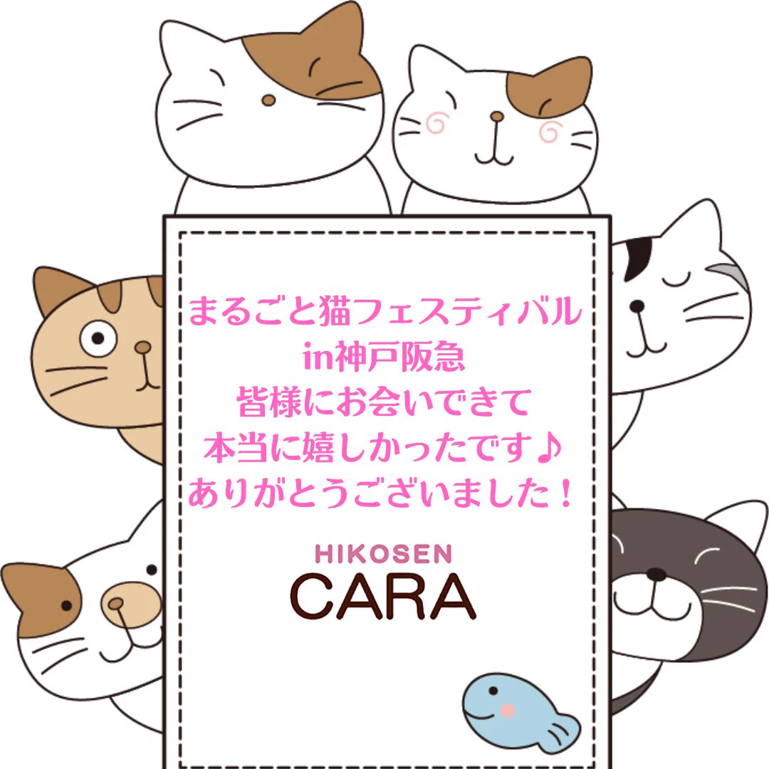 飛行船CARA ちゃこまろ HIKOSEN CARA（公式） (@cara_shop) / X