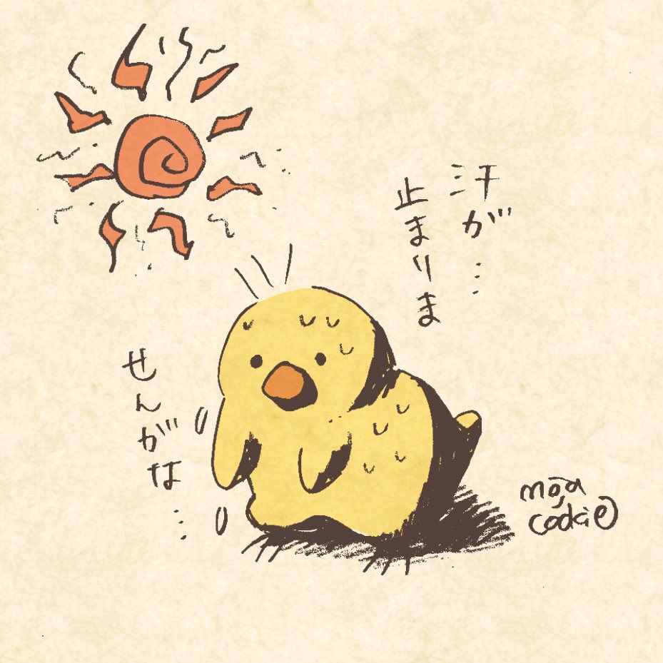 ちょっとチラ見せした秋、なんだったの…