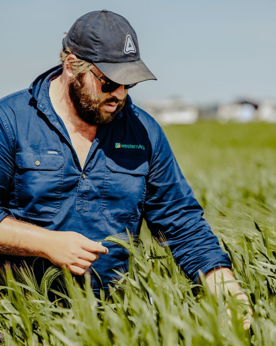 Our team of agronomists work under our key values, Knowledge, Innovation, Reliability and Commitment, to establish a trusted client relationship.