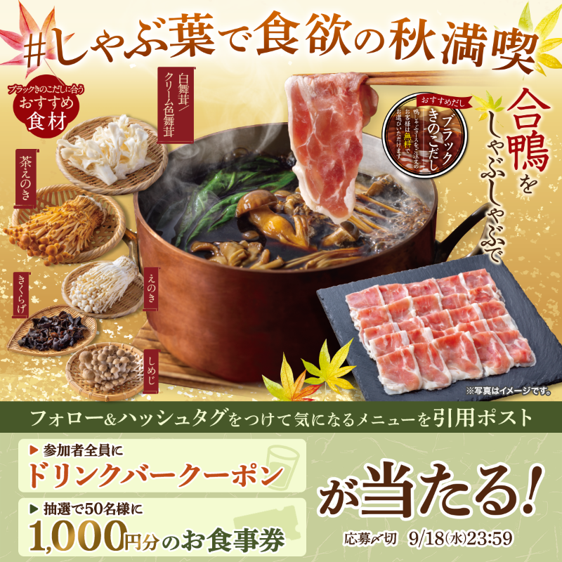 naniwa_hami tweet picture