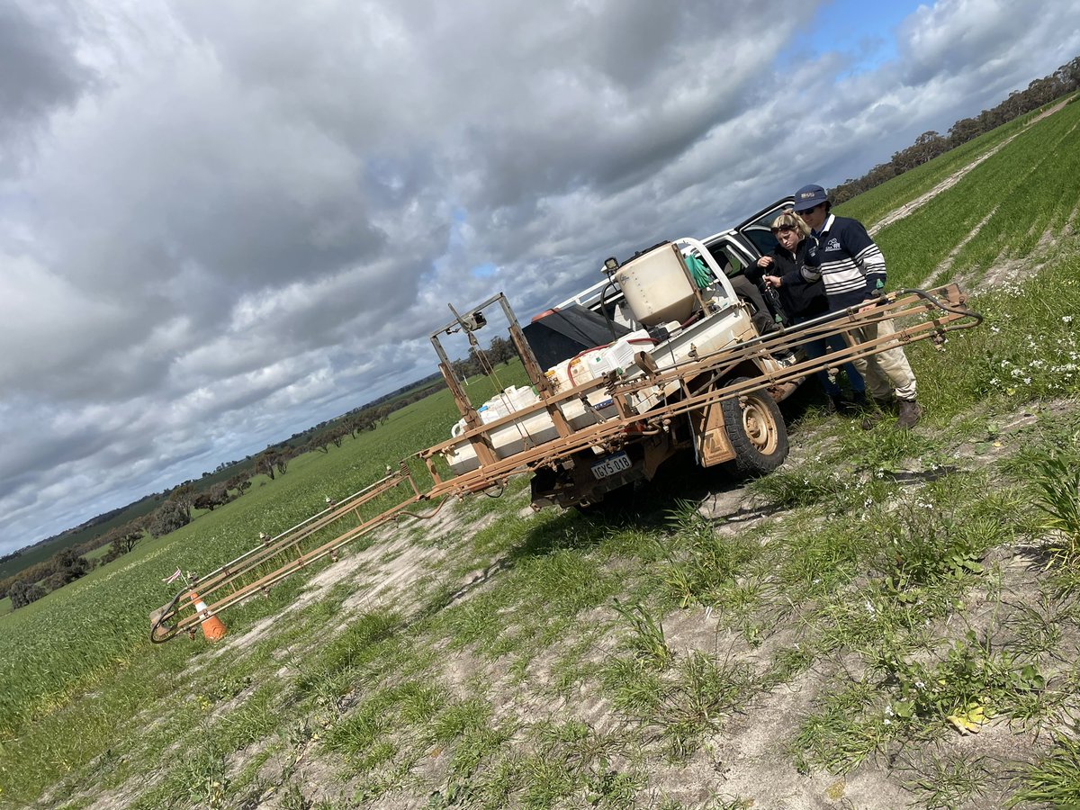 Coming to the end my journey around WA. Spent a few days with Jacob who works for Living Farm in York. They are an independent company that specialise in the running of trial plots for seed companies. Monitoring crop yield with different chemical, fertiliser and seed varieties.