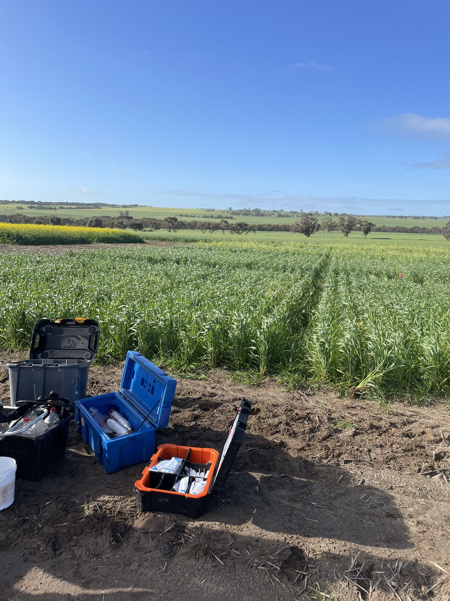 Gwern Thomas tweet media