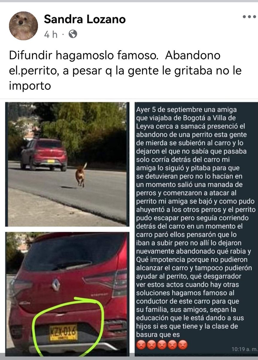 Dónde están las leyes para estos desgraciados que tiran los animalitos. Esto fue entre Bogotá y Villa de Leyva.
Vi la publicación y la estoy compartiendo.