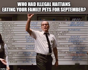 alphafox's tweet photo. Haitian cat meme compilation: https://t.co/aA7s5LTAm9