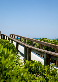 Fitch Max tweet media