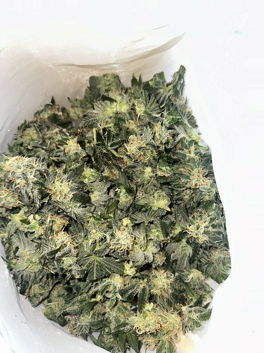 Jeff Clark tweet media