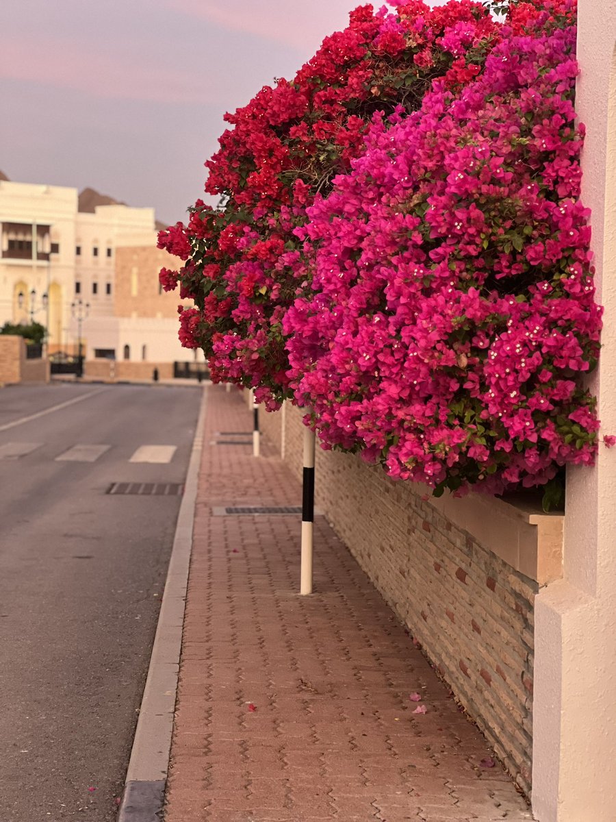 اللهم نقي أيامنا من الهمّ والحزن وإفتح لنا أبوابَ السّعادةِ والأمل 
اللّهم أرزُقنا صبرا وتوفيقاً من عِندك.

 #صباح_الخير