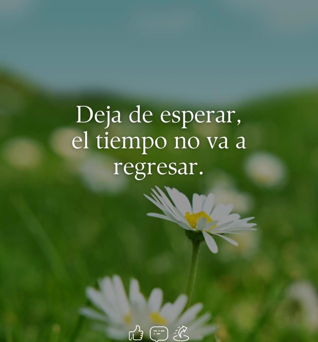 Paulo Coelho Español (@paulocoelhodice) on Twitter photo 