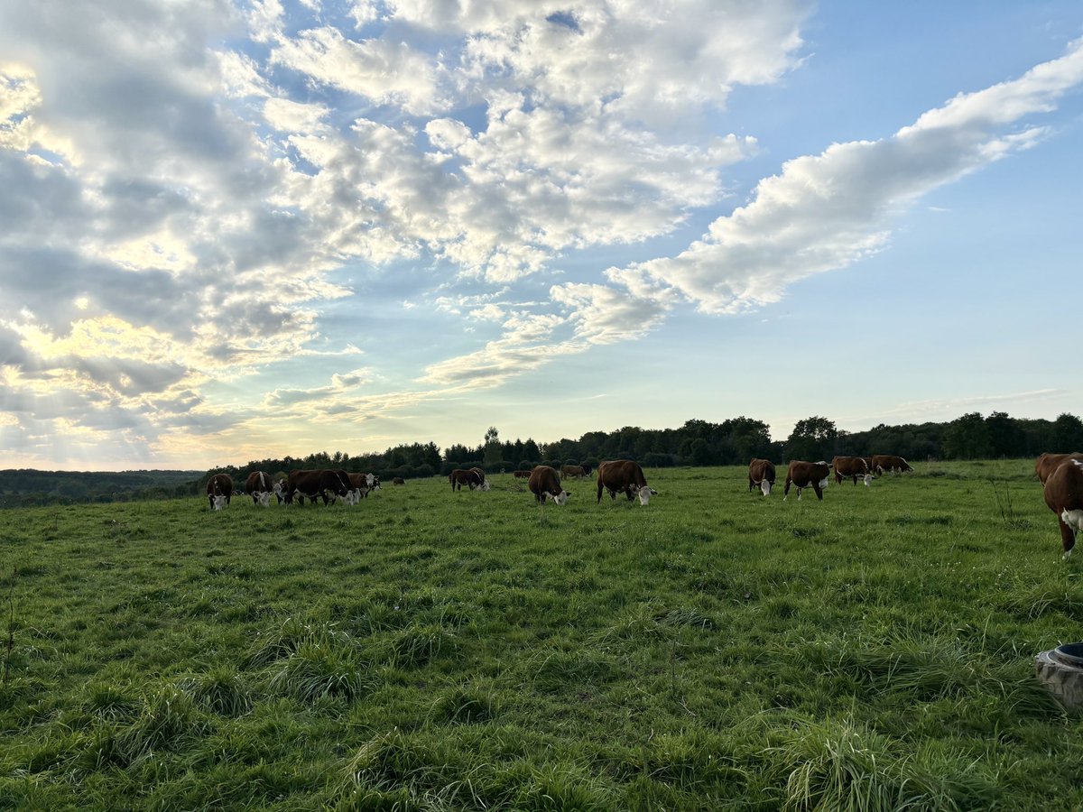 Fall pasture check.
<a href="/CanadianBeef/">Canadian Beef</a> 
<a href="/CanCattle/">Canadian Cattle Association</a> 
<a href="/BeefFarmersON/">Beef Farmers of Ontario</a> 
<a href="/CAN_Hereford/">Canadian Hereford</a> 
<a href="/OntarioHereford/">Ontario Hereford</a>