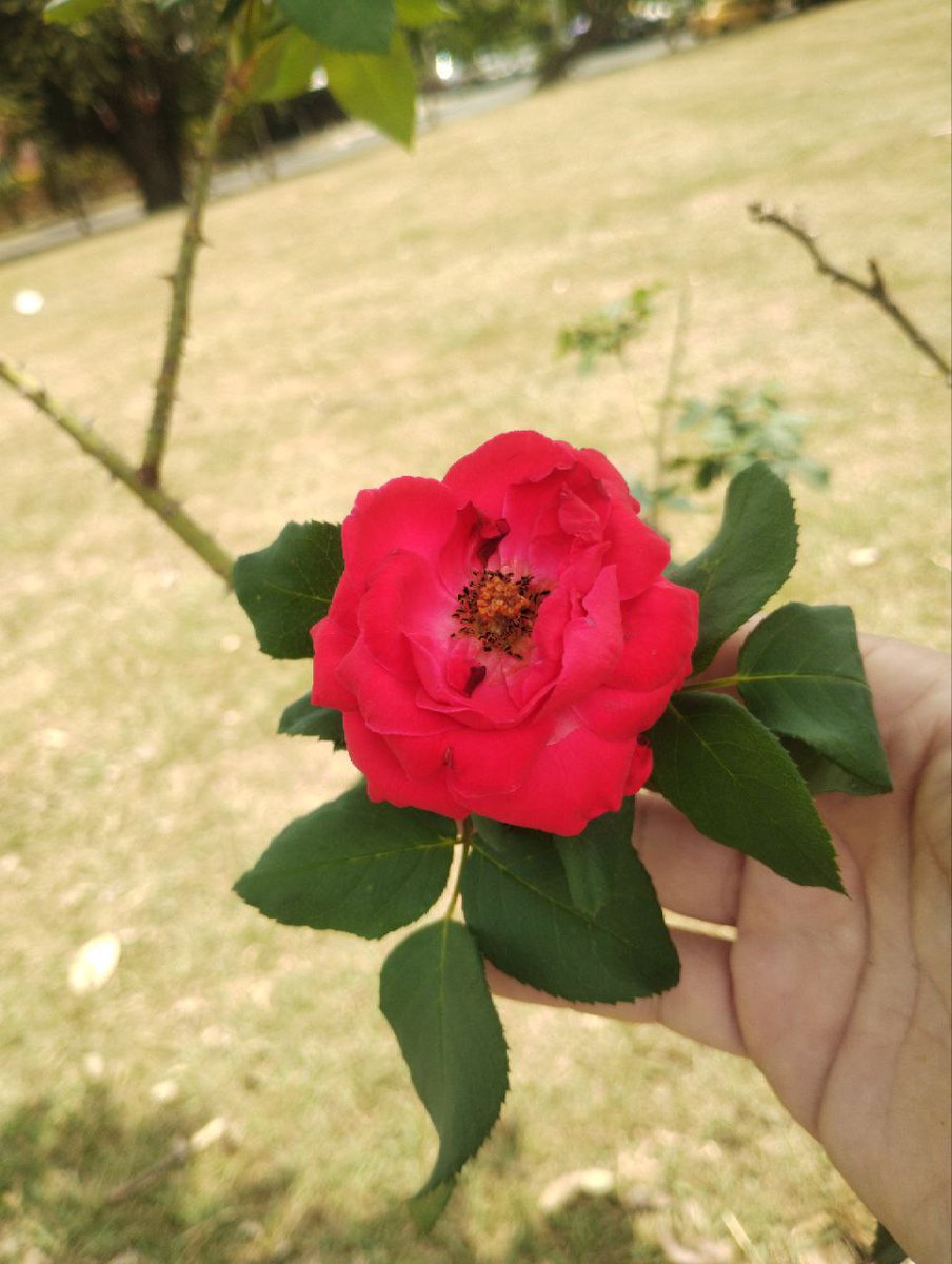 latc18's tweet photo. https://t.co/GpAjaSVhhs