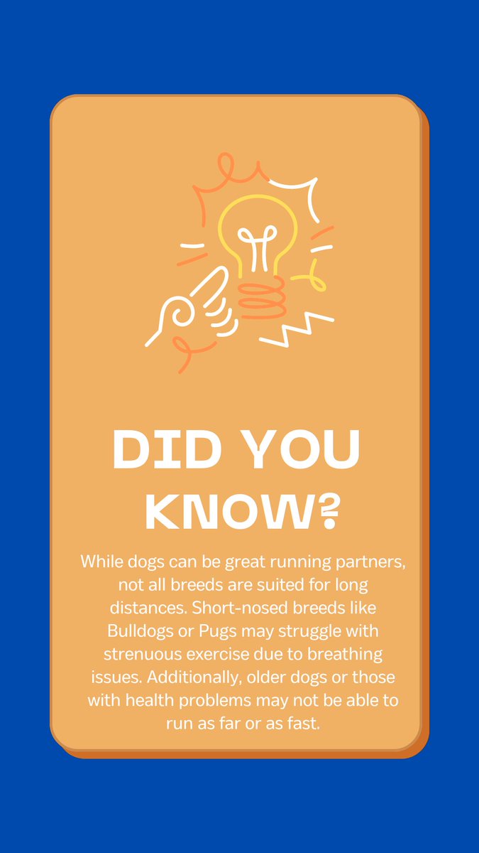 The Belmont Water Dog Run (@waterdogrun) on Twitter photo 