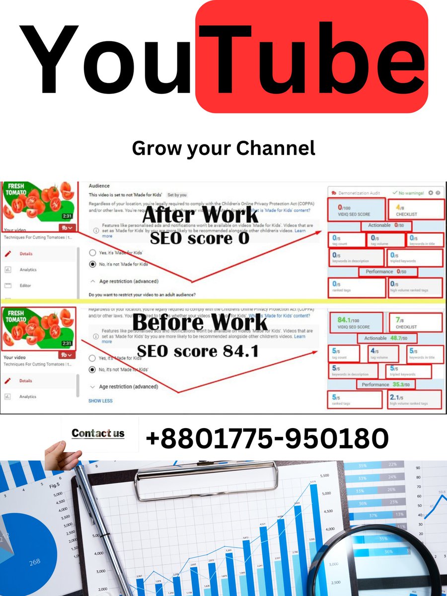 You tub video SEO and promotion ☺️
