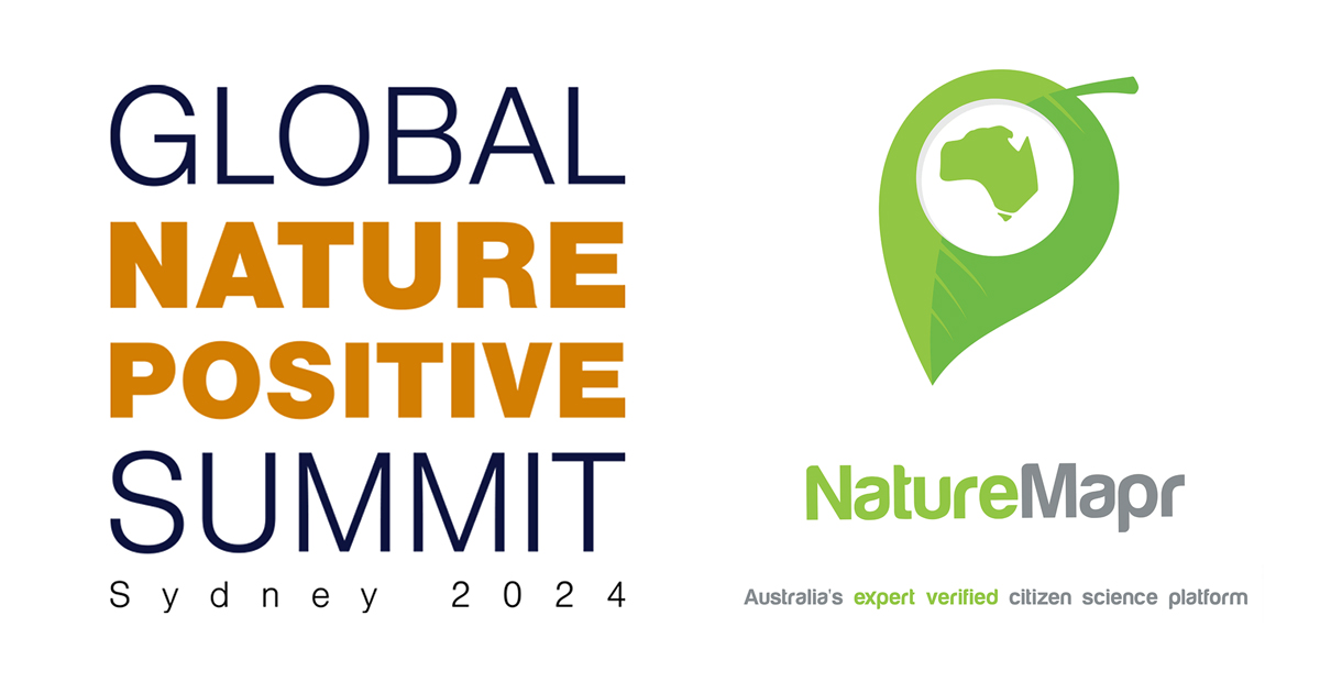 NatureMapr (@naturemapr) on Twitter photo We are pleased to confirm that ๐ก๐ฎ๐๐๐ฟ๐ฒ๐ ๐ฎ๐ฝ๐ฟ will be exhibiting at the ๐๐น๐ผ๐ฏ๐ฎ๐น ๐ก๐ฎ๐๐๐ฟ๐ฒ ๐ฃ๐ผ๐๐ถ๐๐ถ๐๐ฒ ๐ฆ๐๐บ๐บ๐ถ๐ ๐ฆ๐๐ฑ๐ป๐ฒ๐ ๐ฎ๐ฌ๐ฎ๐ฐ on Wednesday 9 October in the Tech Hub area: dcceew.gov.au/initiatives/naโฆ We are pleased to confirm that ๐ก๐ฎ๐๐๐ฟ๐ฒ๐ ๐ฎ๐ฝ๐ฟ will be exhibiting at the ๐๐น๐ผ๐ฏ๐ฎ๐น ๐ก๐ฎ๐๐๐ฟ๐ฒ ๐ฃ๐ผ๐๐ถ๐๐ถ๐๐ฒ ๐ฆ๐๐บ๐บ๐ถ๐ ๐ฆ๐๐ฑ๐ป๐ฒ๐ ๐ฎ๐ฌ๐ฎ๐ฐ on Wednesday 9 October in the Tech Hub area: dcceew.gov.au/initiatives/naโฆ
