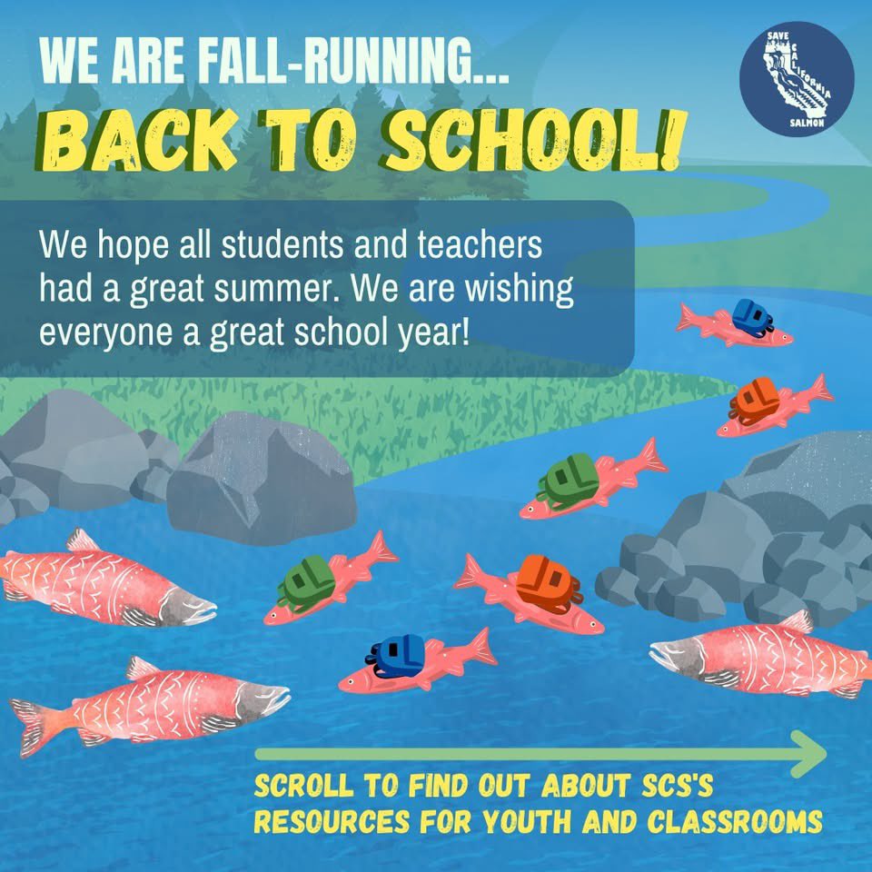 Save California Salmon tweet media