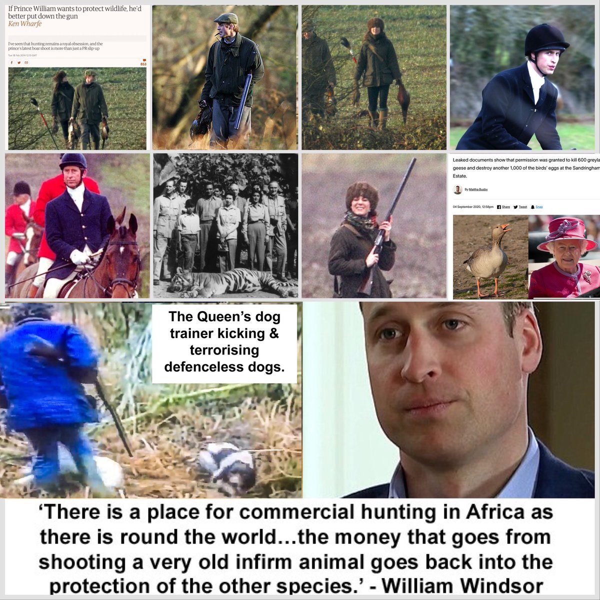 HighwaySqueak's tweet image. Please mention this to ‘Prince’ William &amp;amp; the ‘royals’. Thank you. #AbolishTheMonarchy #StopTrophyHunting