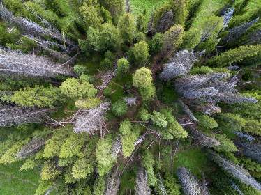 First, RWA oracles serve as an attestation mechanism or a “proof of reserve” type service, verifying the inventory of an offchain asset, such as gold reserves or T-bills.