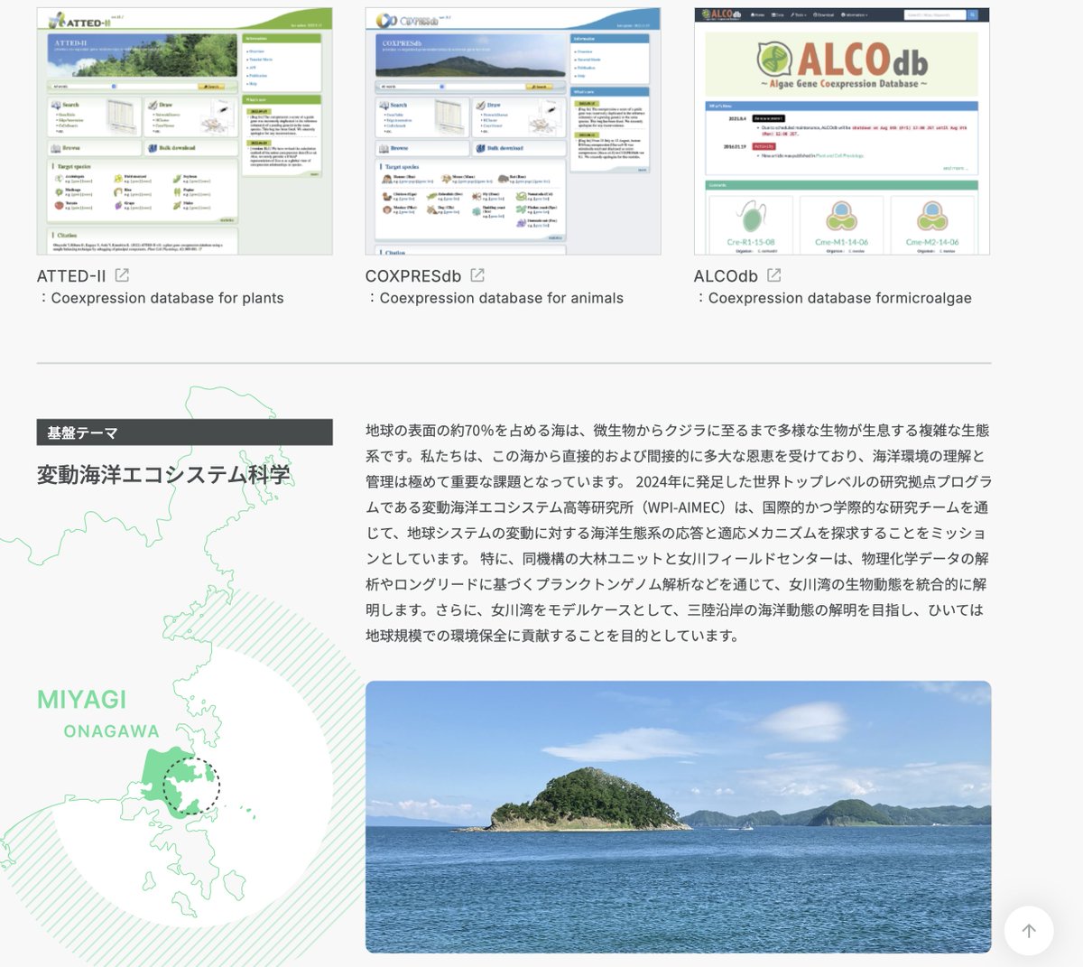 lab_infobio's tweet photo. 【お知らせ】
大林研究室のWebサイトがリニューアルしました！🎉
より使いやすく、情報も充実しています。新しいデザインと共に、最新のプロジェクトや研究成果もぜひご覧ください！👇
[https://t.co/PVoduk9Wyz]
#ウェブサイトリニューアル #新デザイン https://t.co/6XCLCNGtb8