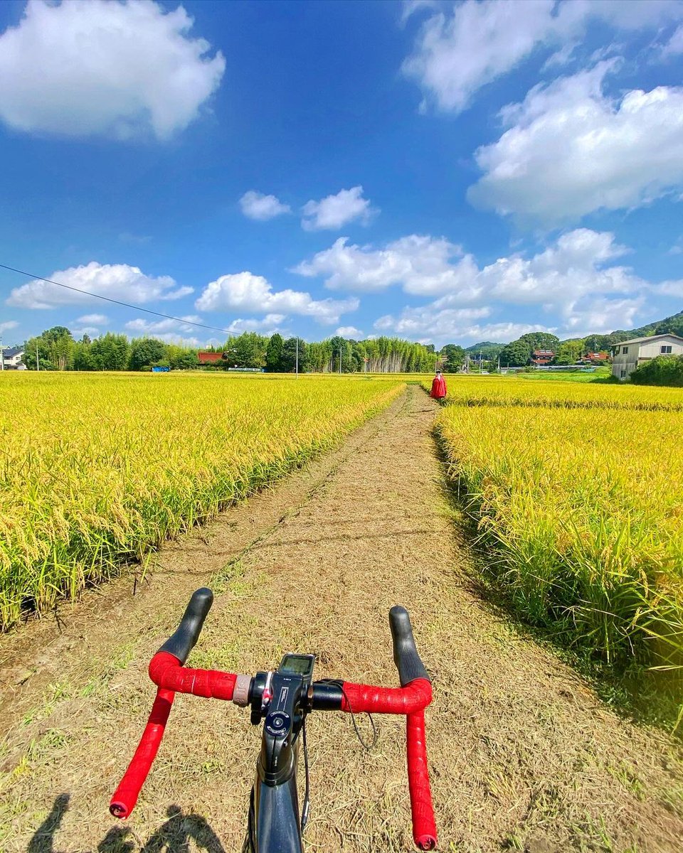 bebow782's tweet photo. 赤い人は案山子でした🎈𓀠🎈

#ロードバイク #ロードバイク女子 #ロードバイクのある風景 #ロードバイク好きな人と繋がり��い #ロードバイク大人女子 #サイクリング #ゆるポタ #ヒルクライム #ヒルクライム好きな人と繋がりたい https://t.co/9pEZdHrg5J
