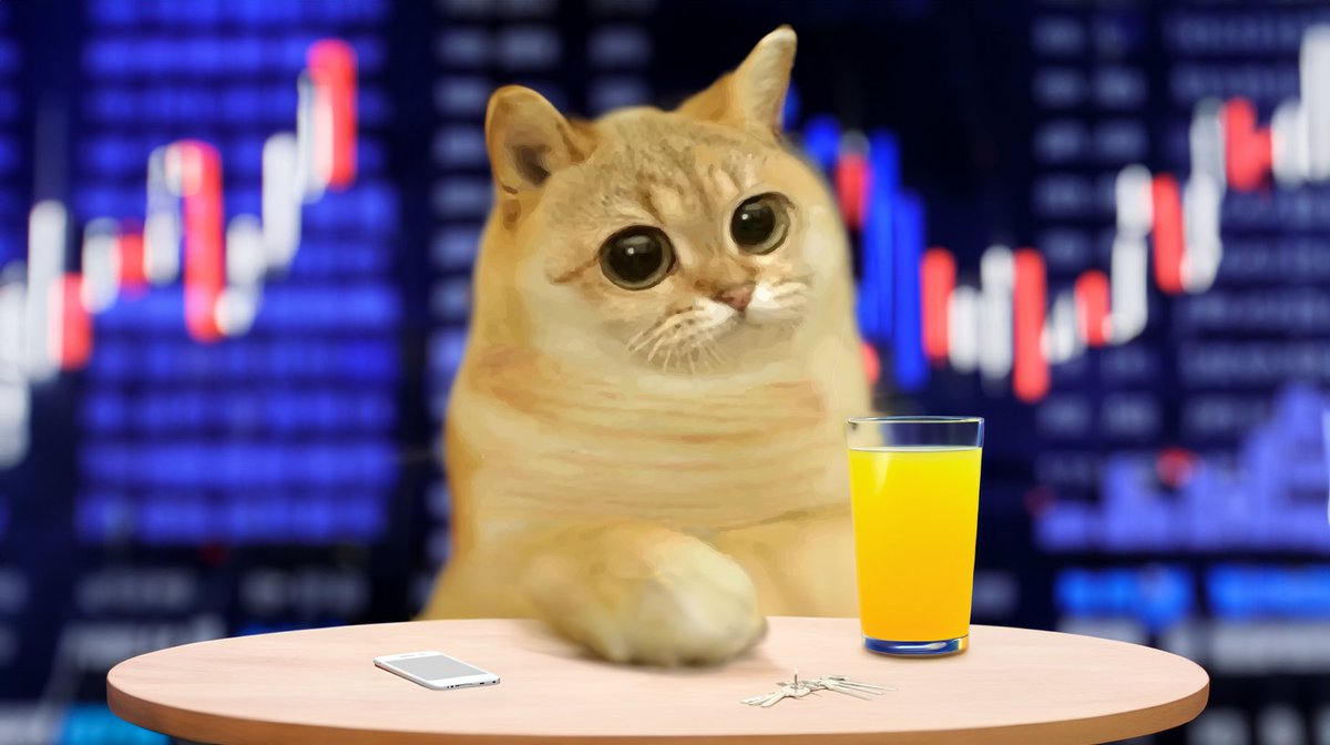 catcoin's tweet photo. @elonmusk https://t.co/UkI6K4mZtB