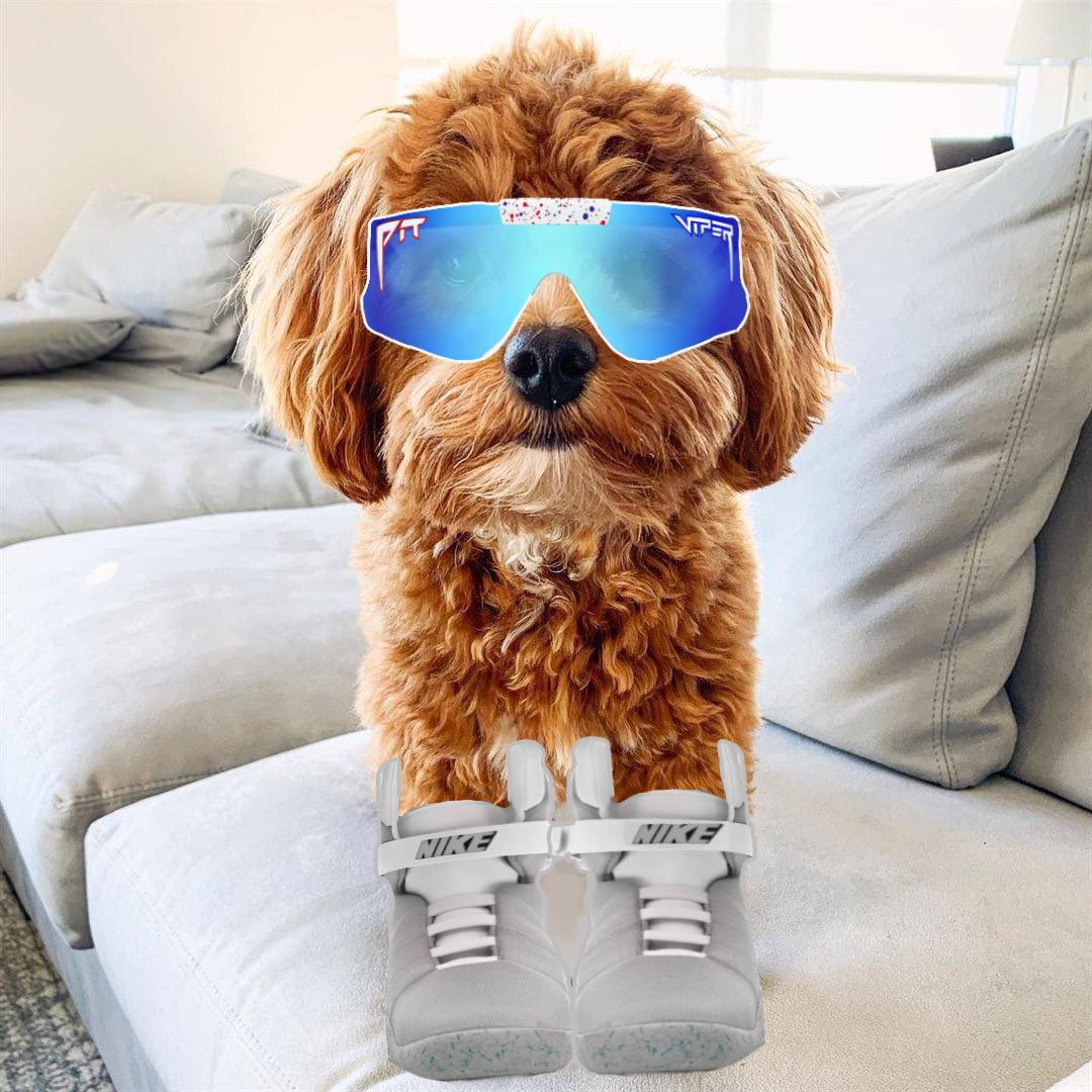 $BENJI

The freshest dog I’ve ever seen on Solana. 

AGwMfg4Jz7y1uVpEozktsFiq1nV7UuqtuSfewa9pUgC1