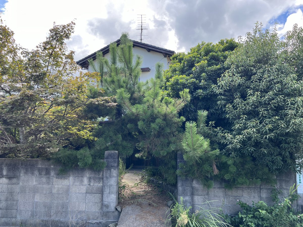 na0suk's tweet photo. 農家民宿予定物件の玄関前の庭を少し片付けました https://t.co/Bo8lkSiAue