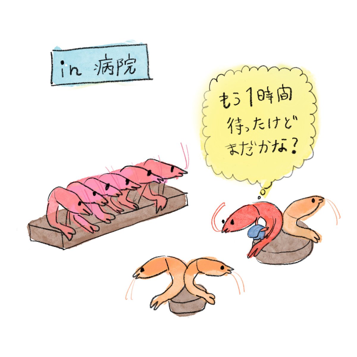 hamususi's tweet photo. 2秒で診察が終わったエビちゃん
#エビちゃん日記 https://t.co/l2PQrEfOq6