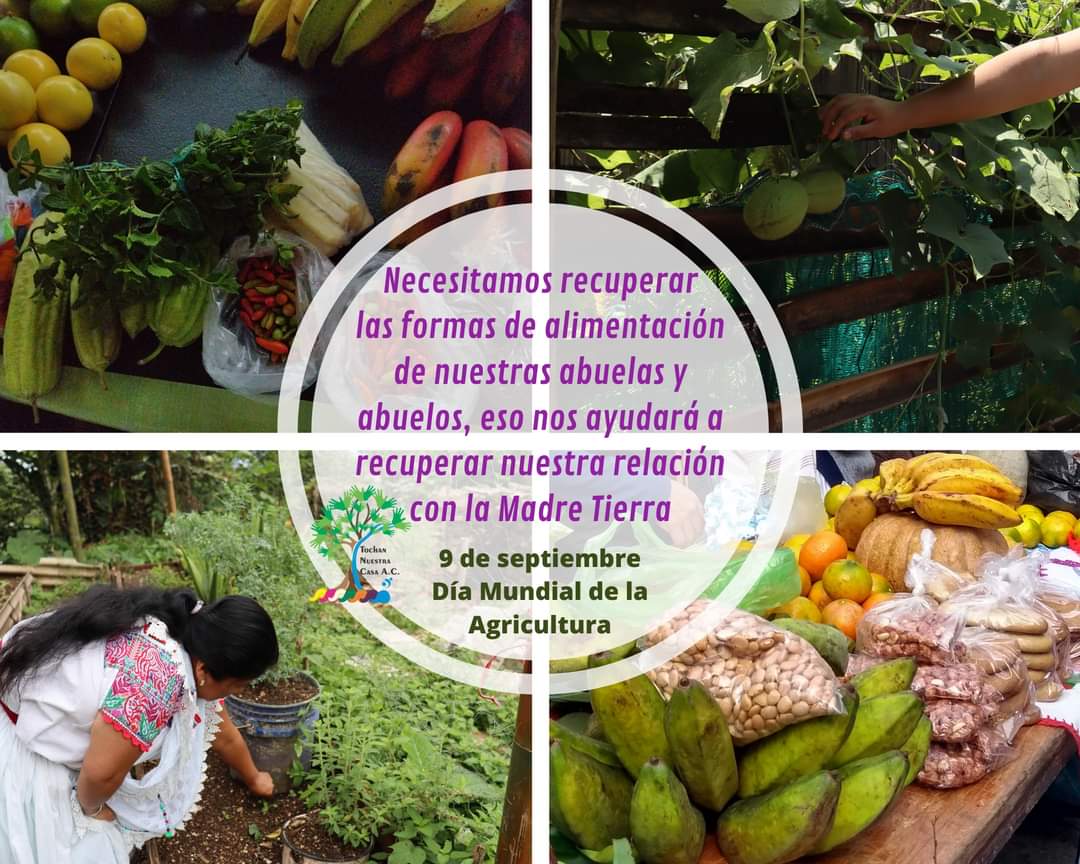 #9Septiembre #Agricultura 
Vía: Tochan nuestra casa AC.