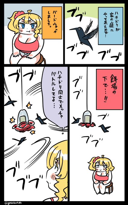 ハチドリを見たフロリダちゃん日記です。 