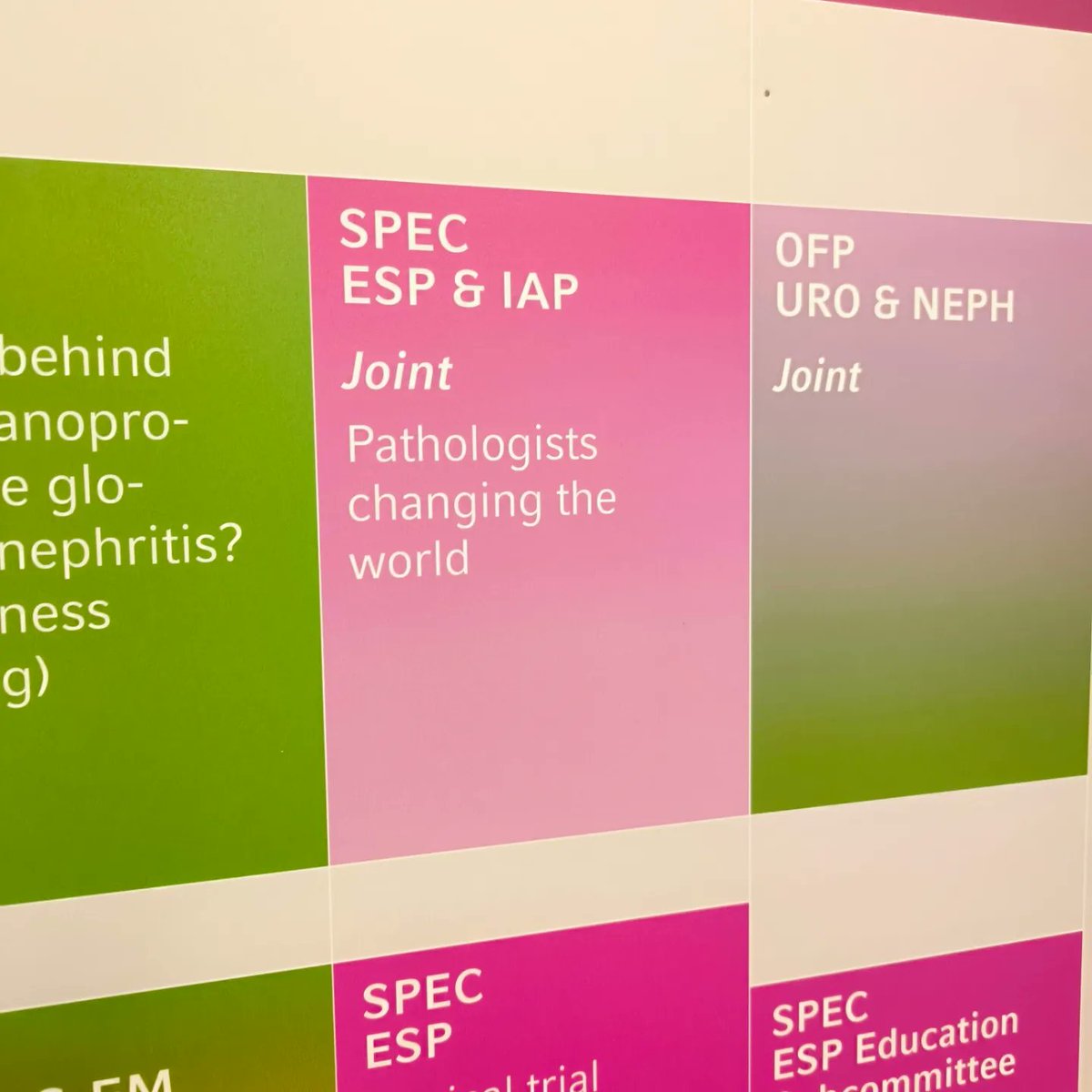 USFNA_SPAIN's tweet image. Just imagine you share a special journey to inspire young generations and now they actually want to follow that journey. 
I had the most beautiful time during the session, thank you all who attended. 
Italy 🇮🇹 I will always love you. #interventionalpathology