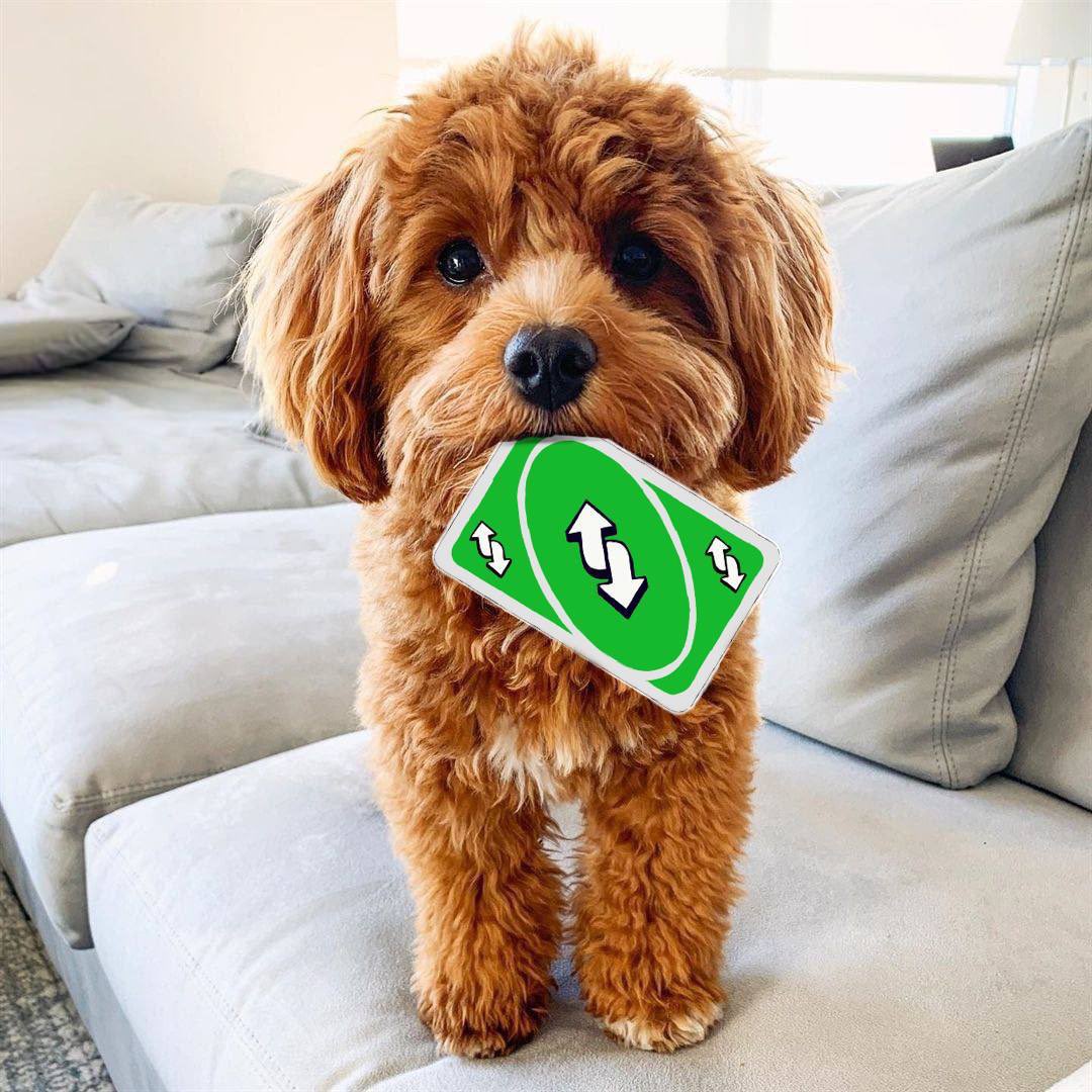 <a href="/blknoiz06/">Ansem</a> Hey Z, #benji boutta uno reverse this market