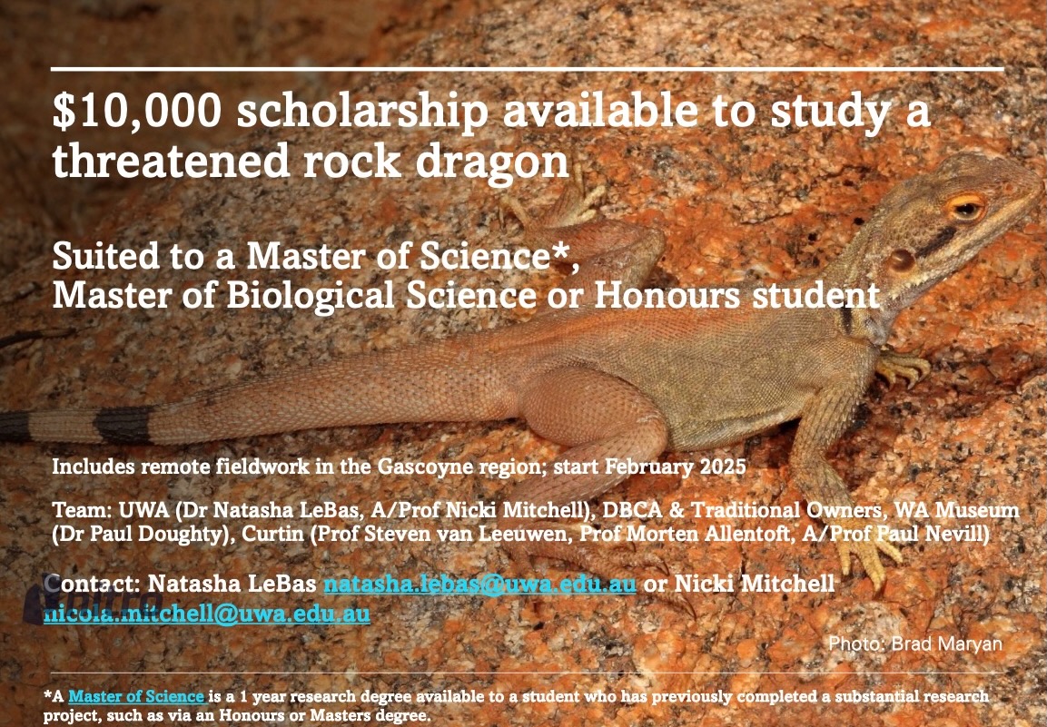 Nicki Mitchell tweet media