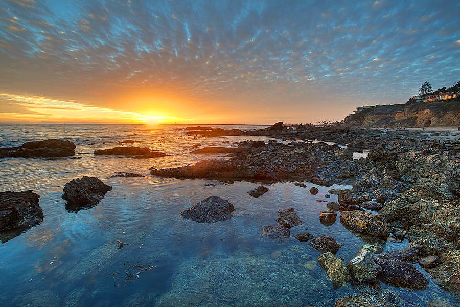 WetTribe's tweet photo. “It is advisable to look from the tide pool to the stars and then back to the tide pool again.” -John Steinbeck, The Log from the Sea of Cortez. #WetTribe #TidetotheOcean #CitizenScience #TidepoolTuesday https://t.co/pJWR2459jW