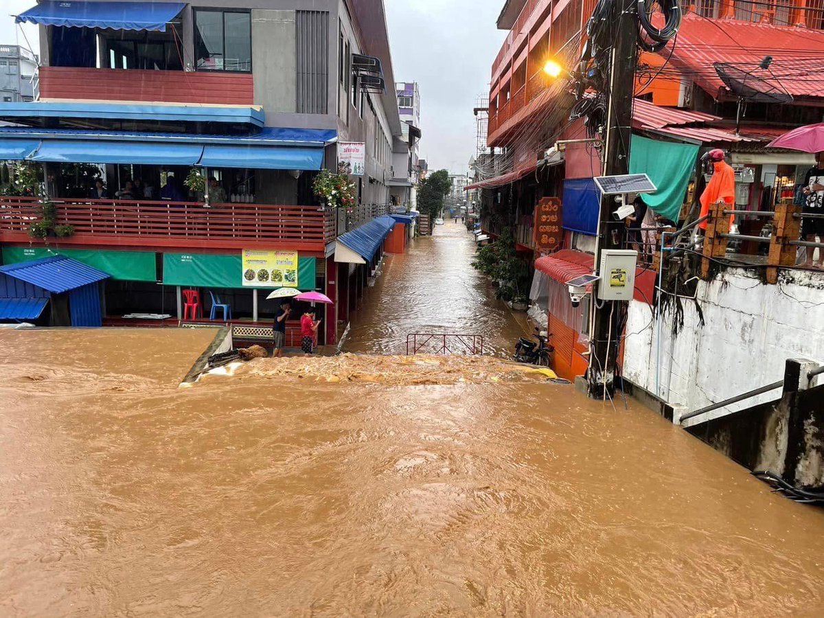 vkdoohee's tweet photo. #Thailand  #yagi #แม่สาย #เชียงราย https://t.co/laR0pLzIJG