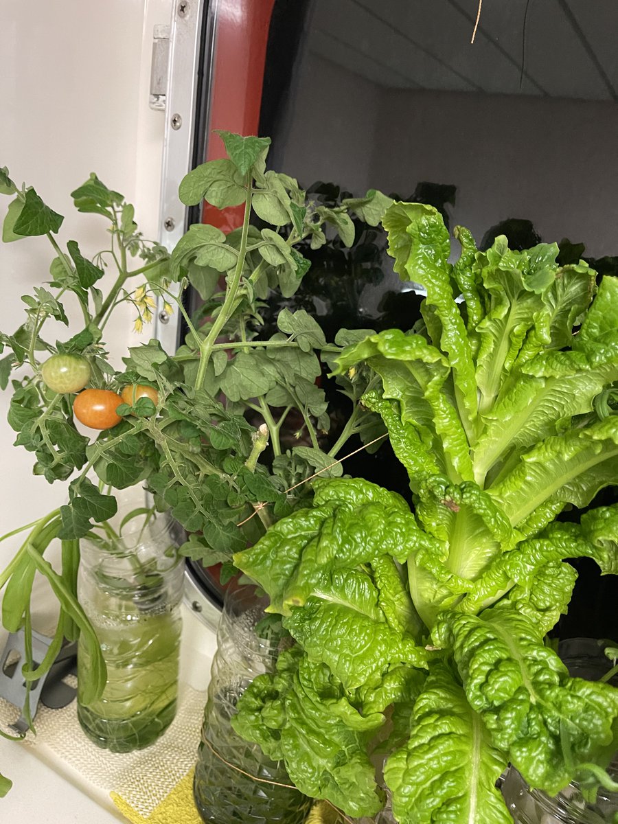 mikomercz's tweet photo. grabe yung detox sa social media. 😂 kaya habang walang internet ito lang naman naging libangan ko 😊 #PlanTito https://t.co/HyQUCjXweJ