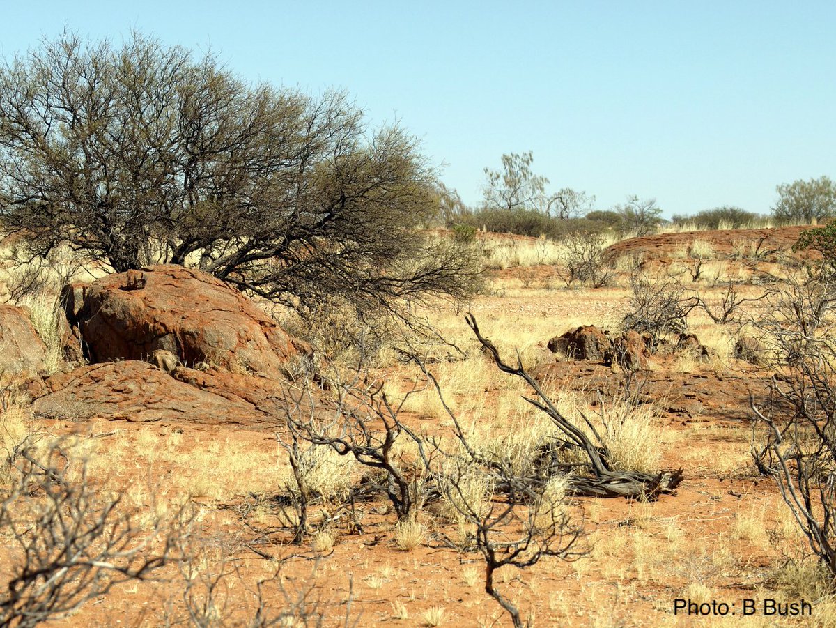 Nicki Mitchell tweet media