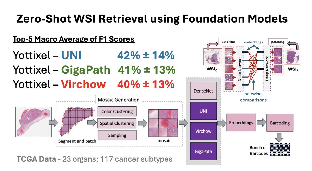 H.R. Tizhoosh tweet media