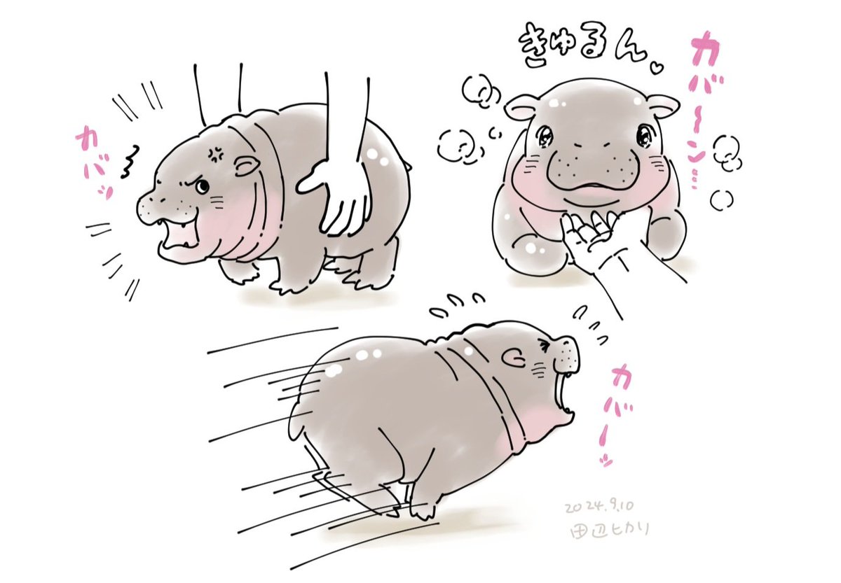 hikari_tanabe's tweet photo. TLに流れてくるタイのカバの赤ちゃん https://t.co/H3wgKEnFC6