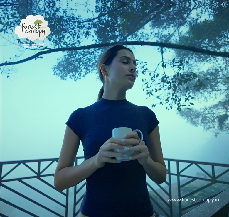 forest_canopy's tweet photo. https://t.co/LWw0NsbOCt
Rise and shine: Begin your day with a refreshing morning walk and a steaming cup of tea, surrounded by nature's splendor at Forest Canopy Resort in ThekkadyKerala ,
#NatureLovers #Thekkady #ForestEscape #forestcanopythekkady #mountainlife #Luxuryresort https://t.co/idmLPmh3u4