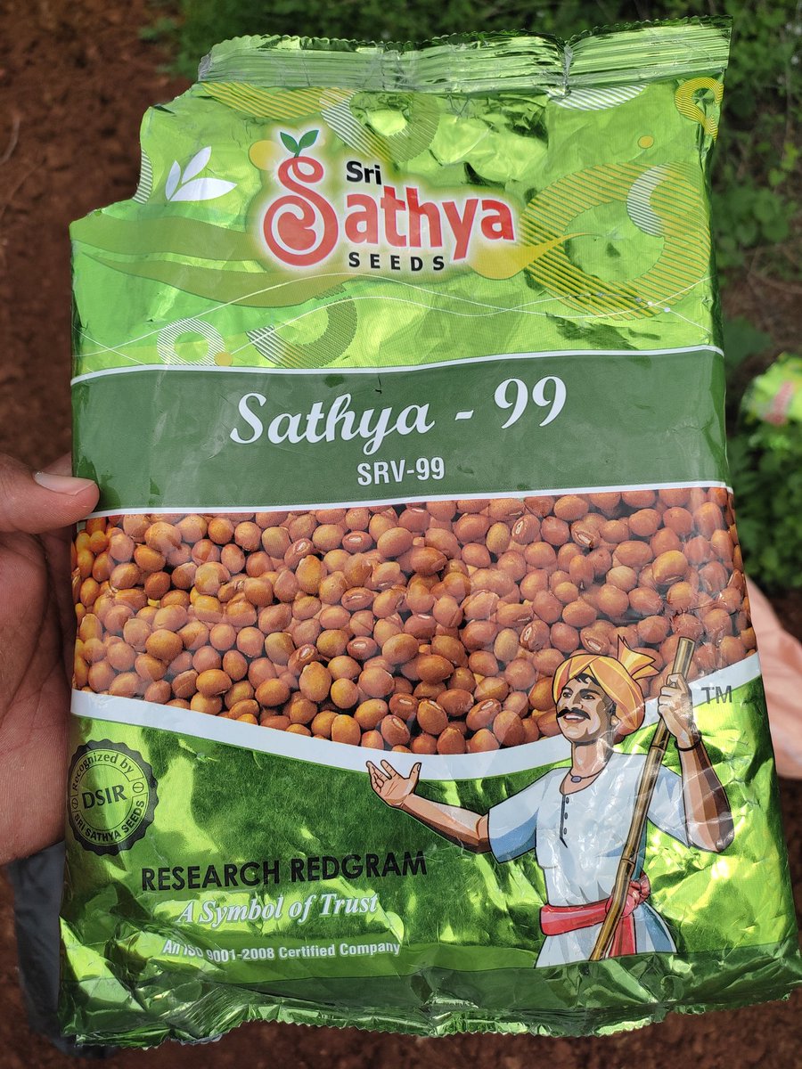 Farmer203_off's tweet photo. #Redgram & #Jowar ...👳🕵️🌱
#Farming https://t.co/mTzTcXoLOk