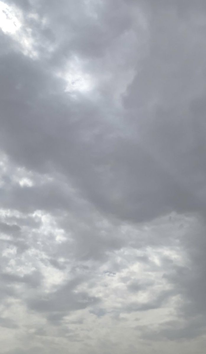 صباحكم جو المدينه 🤍🤍.