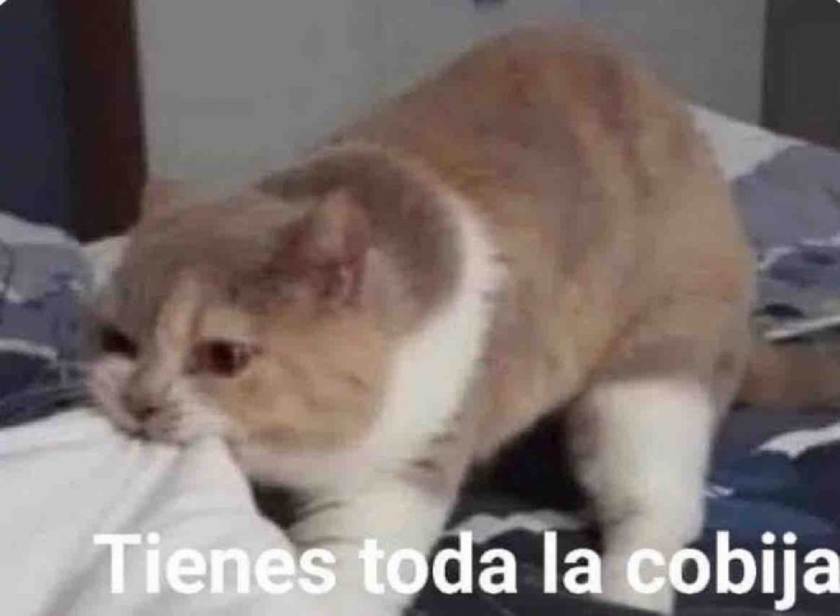 “No puedo esperar a dormir juntos”

Yo en la madrugada: