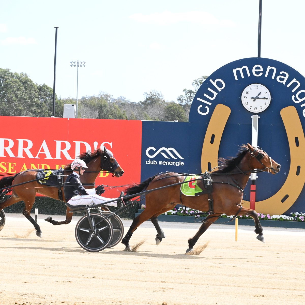 ClubMenangle's tweet photo. Maestro reigns supreme in Heat 1 of the D M Plumbing Trotters Carousel for Brent Lilley and @Bailsmac27.🥇

Recording a mile rate of 1.57.2 over the 2300 metres, Golden Sunset and Viksun filled the minor placings.

#ClubMenangle | @LilleyRacing https://t.co/edhcSKjAh8