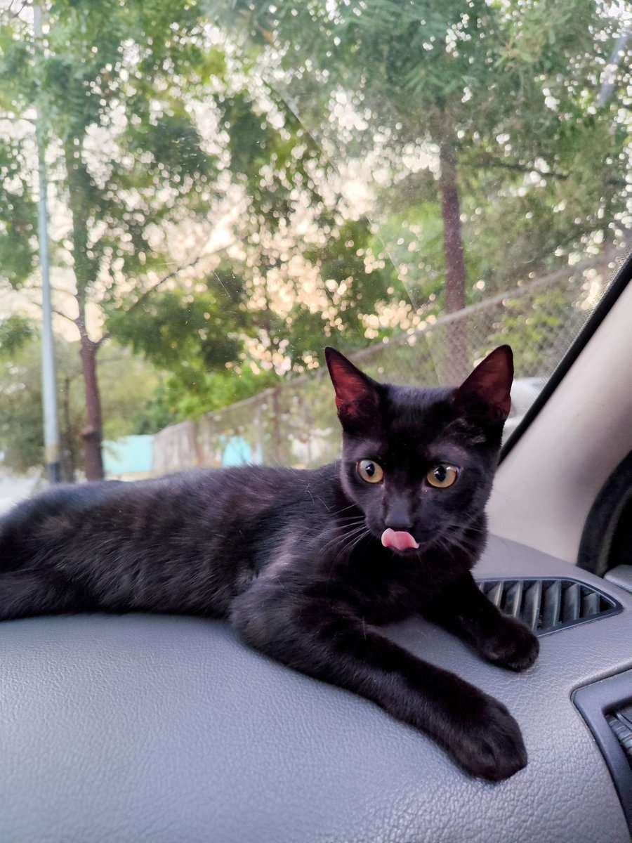 Eduardo J. Misett tweet media