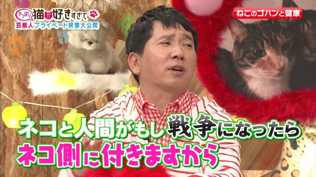 bad_texter's tweet photo. ネコと人間 https://t.co/OtcB57LiCk