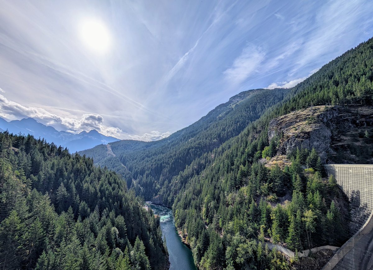 Amy Orsborn, PhD 👩🔬🐵 tweet media