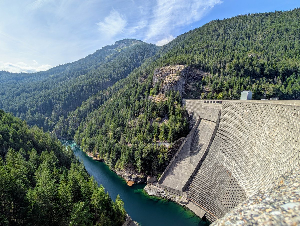 Amy Orsborn, PhD 👩🔬🐵 tweet media